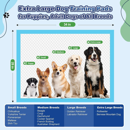 Puppy Pads XL 100 Count. Chosen for real quality, fits naturally into modern pet homes.