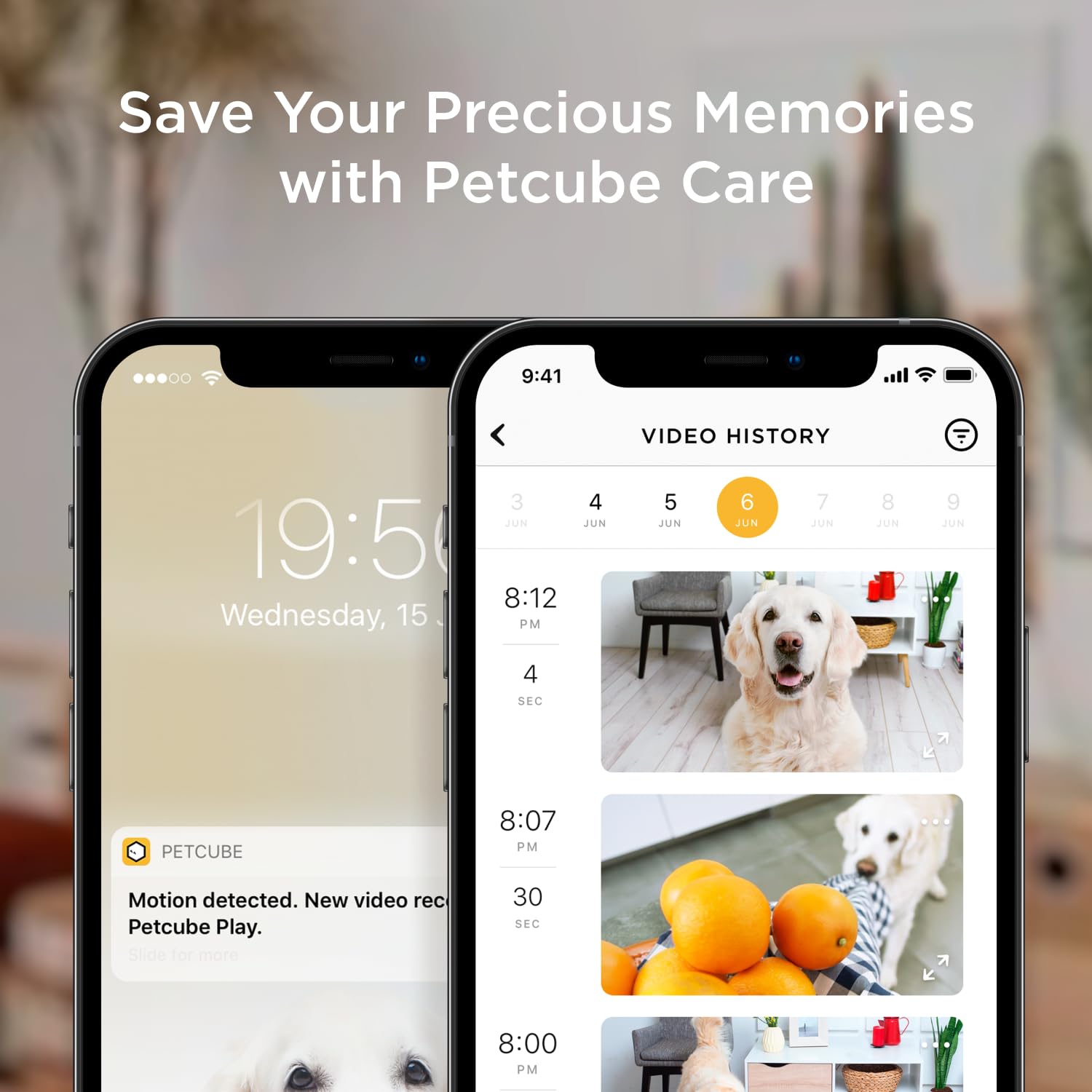 Petcube Bites 2 Lite. Chosen for real quality, fits naturally into modern pet homes.