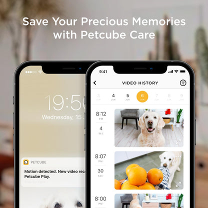 Petcube Bites 2 Lite. Chosen for real quality, fits naturally into modern pet homes.