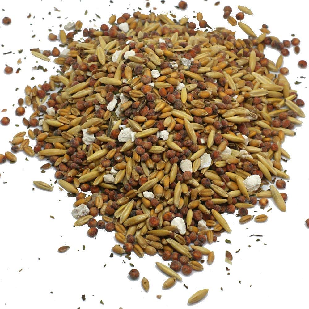 Pampered Chicken Mama Chick Feed - Premium Chicken Scratch Treat - High Protein & Calcium Grower Feed for Laying Hens (10 lbs)