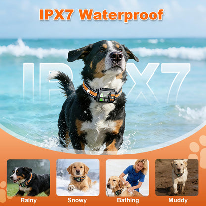 GPS Wireless Dog Fence System Collar 2 Modes 2 Pack No. Chosen for real quality, fits naturally