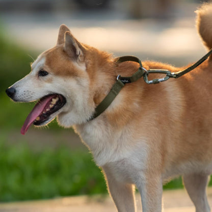 Hyhug Pets Premium Upgraded Heavy Duty Nylon Anti-Escape Martingale Collar for Boy and Girl Dogs Comfy and Safe - Professional Training, Daily Use Walking. (Army Green, Medium)