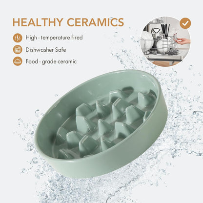 Ceramic 9.5 inch Dog Bowl Slow Feeder, Slow Pet Food Dish for Large Dog, Stop Bloat, Preventing Choking(Single Bowl,Light Green)