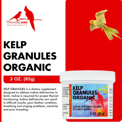 Morning Bird Kelp Granules 3 Oz – Iodine Supplement for Birds – Supports Feather Growth, Molting & Metabolism – Rich in Amino Acids, Trace Minerals & Natural Vitamins – Clean Nutrition for All Birds