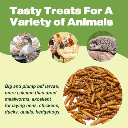 22LB Dried Black Soldier Fly Larvae, 2 Pack of 11 LBS, 86X Calcium Than Dried Mealworms, High Protein Non-GMO Organic Chicken Feed