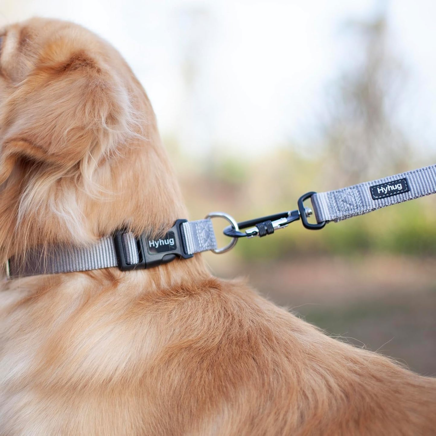 Hyhug Pets Solid Color Classic Regular Heavy Duty Basic Collar for Small Dogs, Unique Design Adjustment Triglide Slide (Buckle) Can Attached Name Tag Accessories. (Small, Sleet Gray)