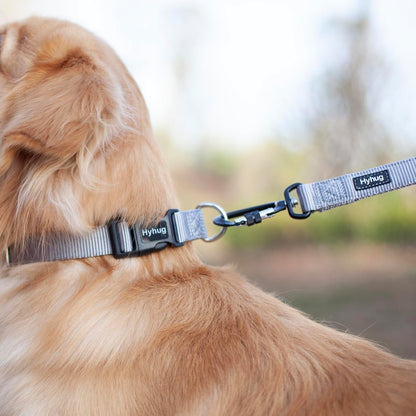 Hyhug Pets Solid Color Classic Regular Heavy Duty Basic Collar for Small Dogs, Unique Design Adjustment Triglide Slide (Buckle) Can Attached Name Tag Accessories. (Small, Sleet Gray)