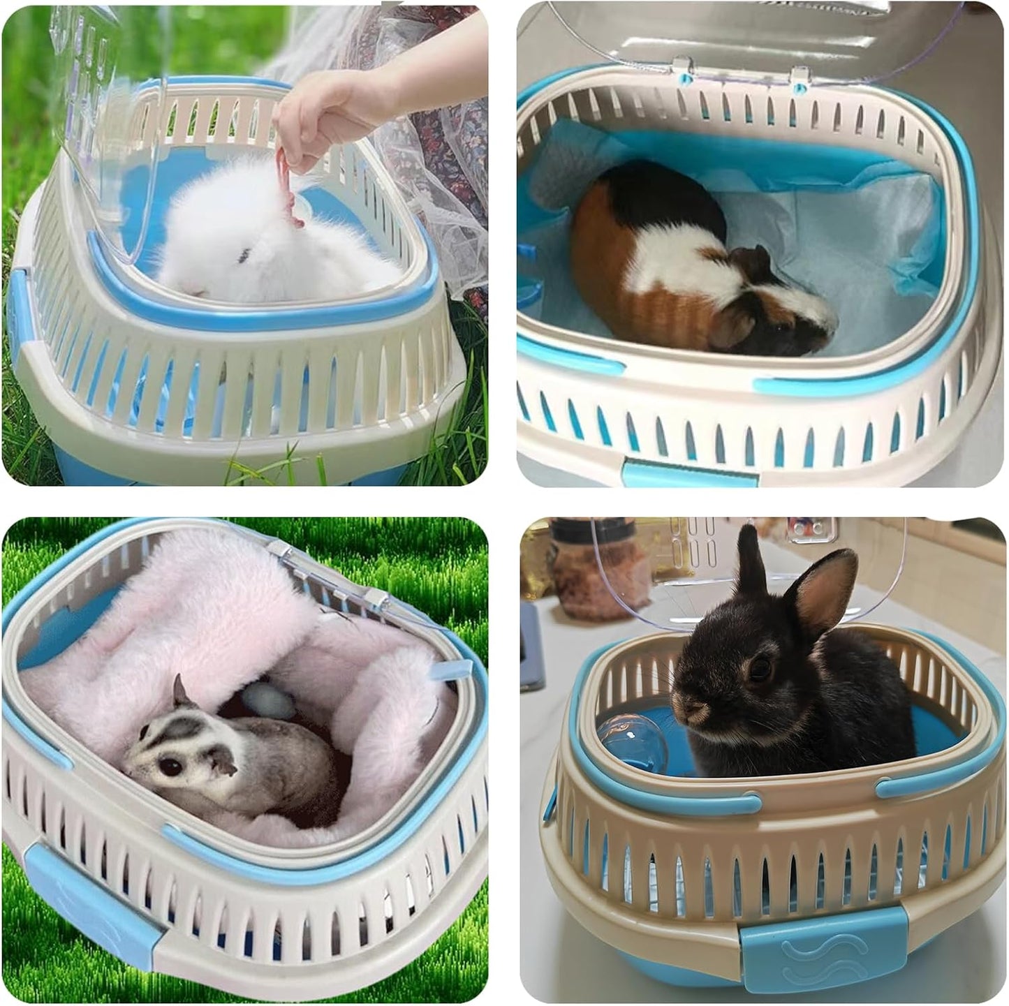 Hamster Carrier Guinea Pig Carrier 13 X 11 X 8 In Portable Hamster Travel Cage with Ventilation Holes Outdoor Small Animal Carrier for Rat Gerbils Rabbit Hedgehog Squirrel Mouse Sugar Glider