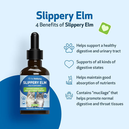 Pet Wellbeing Slippery Elm for Cats - Organic Herb, Supports Healthy Digestive Tract, Gut Lining, Throat Comfort, Lower Urinary Tract Health - Veterinarian-Formulated Herbal Supplement 2 oz (59 ml)