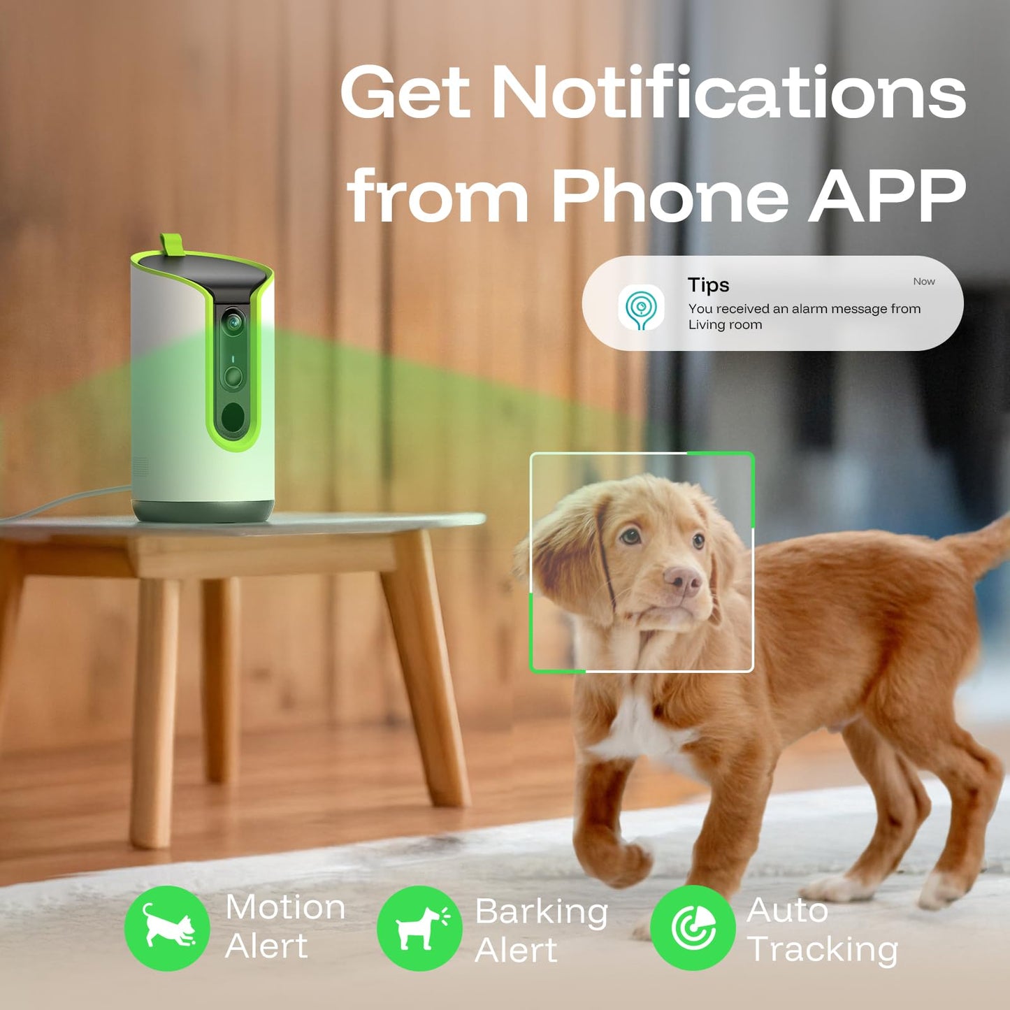 TKENPRO 5MP Ultra HD Pet Camera. Chosen for real quality, fits naturally into modern pet homes.