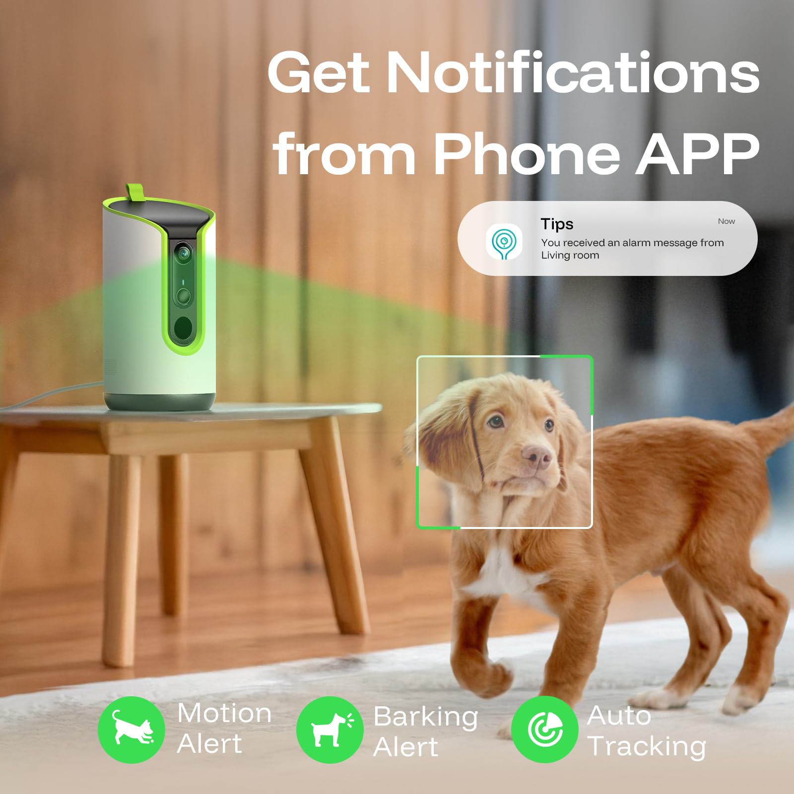 TKENPRO 5MP Ultra HD Pet Camera. Chosen for real quality, fits naturally into modern pet homes.