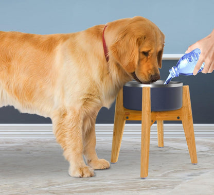 Dog Bowl Stand (12-inch High) - Ideal for Large Breeds - Adjustable Sideways, Slanted Feet - Elevates, Raises Pet Food Feeders, Water Dishes, Fountains, Dispensers - Bamboo Stand Only