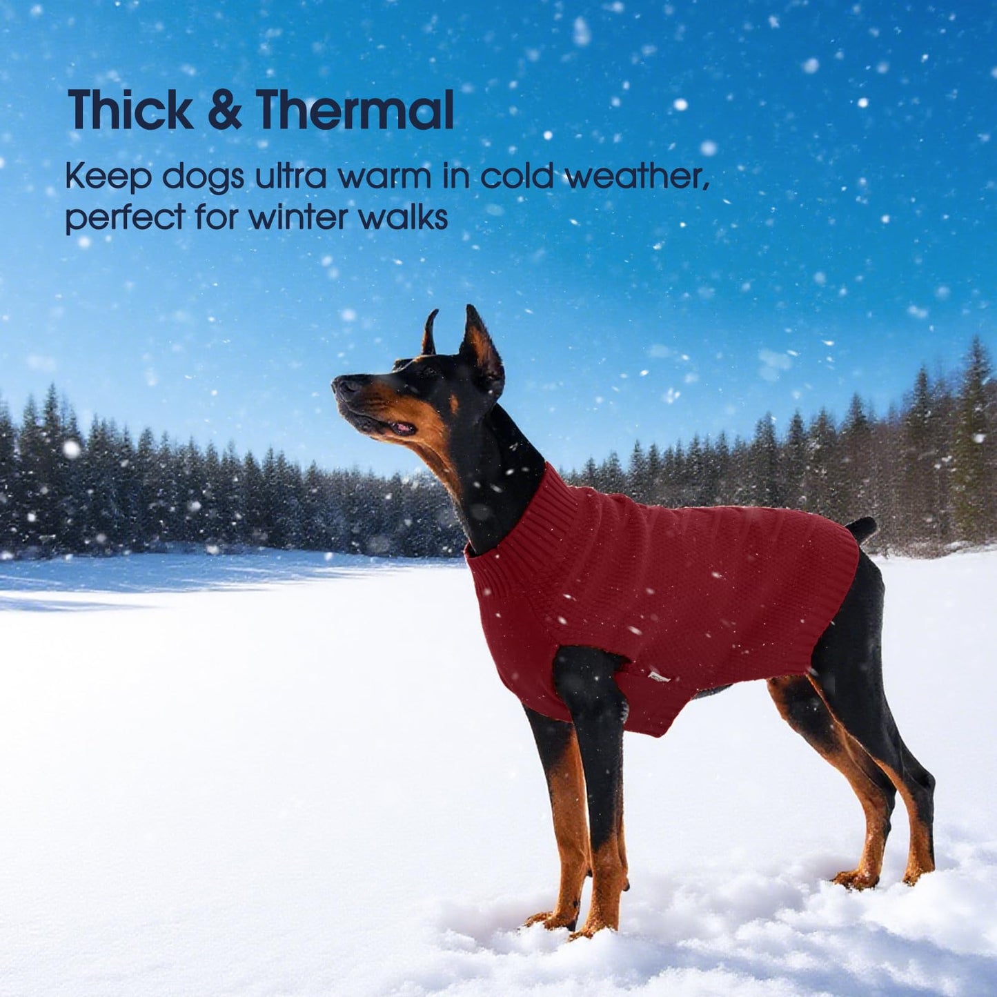 IECOii Dog Sweaters for Large Dogs. Chosen for real quality, fits naturally into modern pet homes.