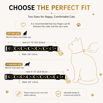 waaag Cat Collars. Chosen for real quality, fits naturally into modern pet homes.