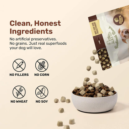 BADLANDS RANCH Superfood Nuggets- Premium, Freeze-Dried raw Dog Food Topper or Treat. Powerful Nutrient-Dense Ingredients. No Artificial additives. Duck and Kale Formula 8oz - 4pk Bundle