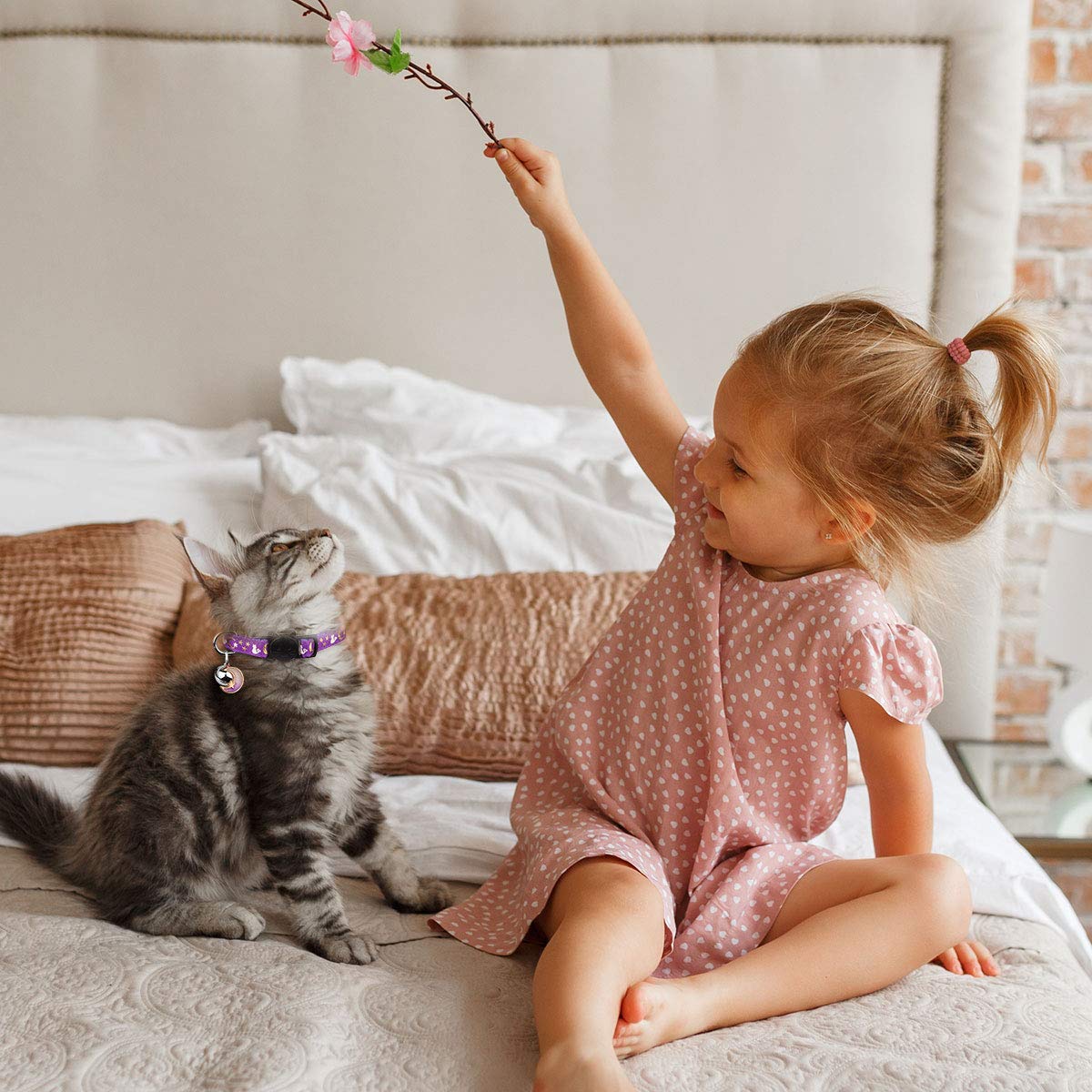 Baeuppit 2PCS Breakaway Cat Collars with Bell Moons. Chosen for real quality, fits naturally into