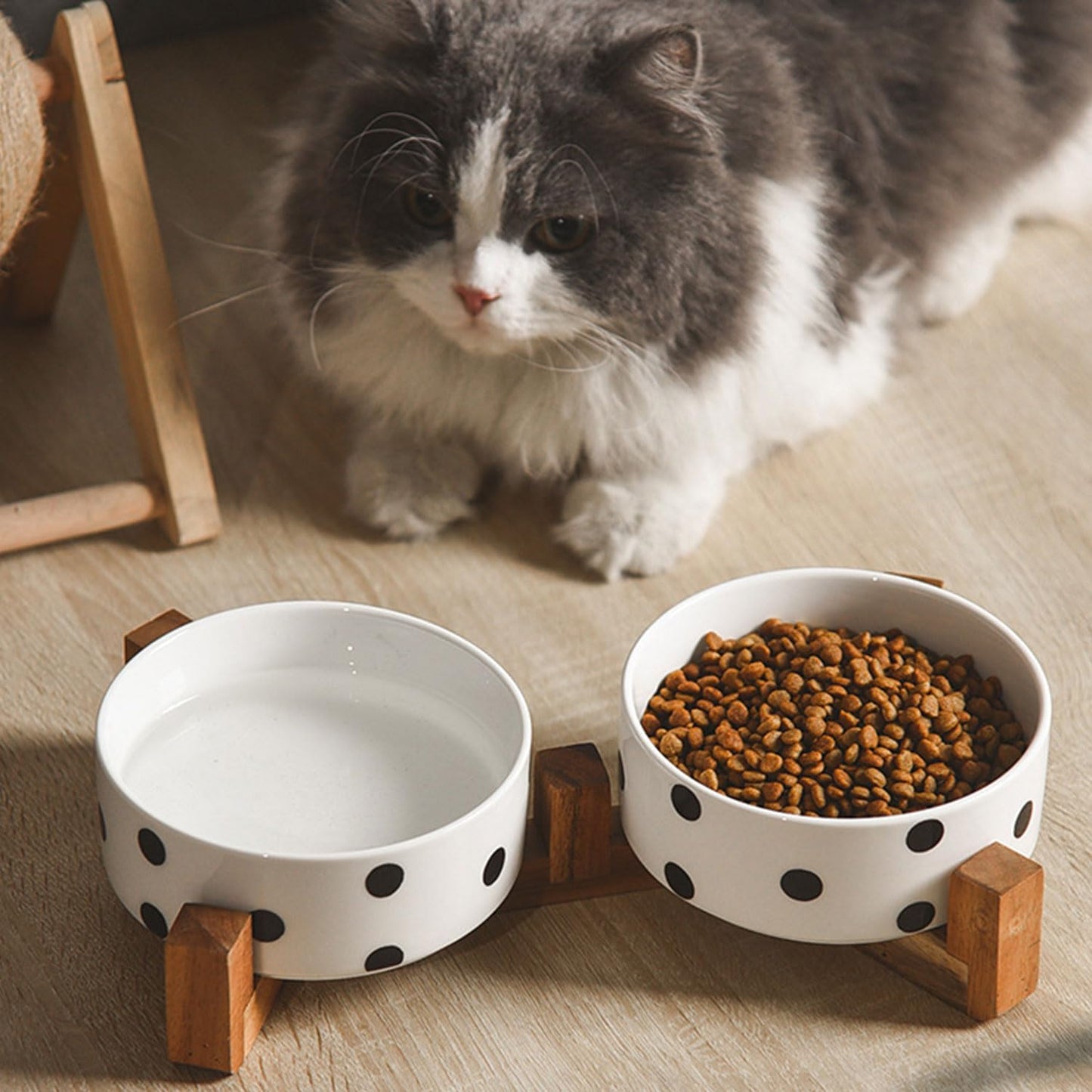 Petygooing Dog Bowls Ceramic, Cat Dog Bowl Set with Wood Stand for Food and Water,Non-Slip Cute Modern Pet Dishes for Cats Medium Size Dogs (28OZ/6.1 in) Black Dot