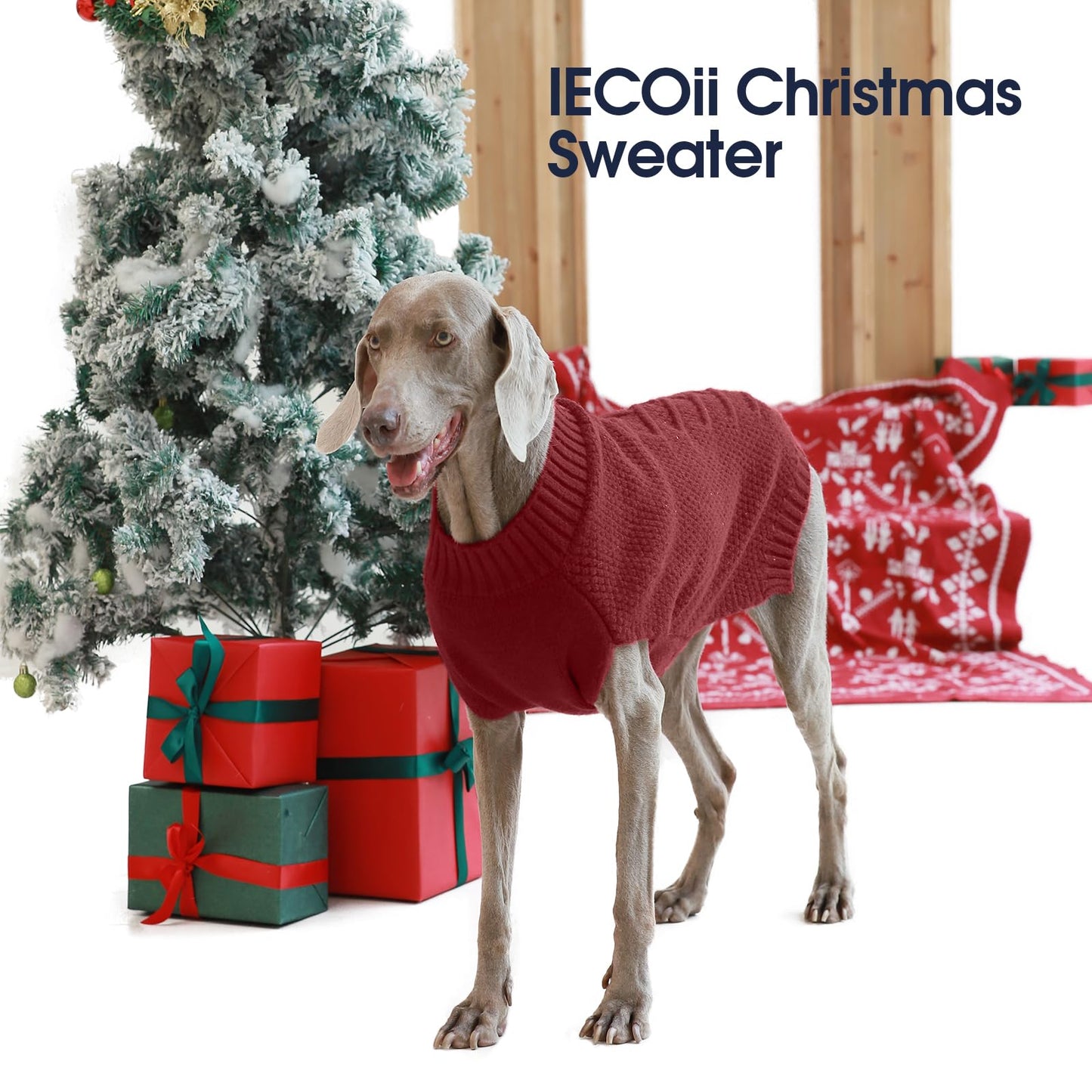 IECOii Dog Sweaters for Large Dogs. Chosen for real quality, fits naturally into modern pet homes.