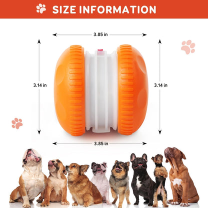 QGI Interactive Dog Ball. Chosen for real quality, fits naturally into modern pet homes.