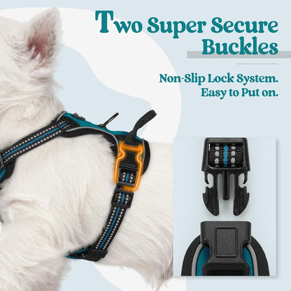rabbitgoo Dog Harness No Pull with 2 Leash Clips, Adjustable Soft Padded, Reflective Oxford No Choke Pet Vest with Easy Control Handle for Puppy, Blue Coral, XS