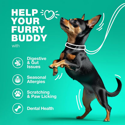 Probiotics for Dogs Gut Health, Digestion, Immunity, Yeast Balance, Itchy Skin, Allergies Support - Dog Probiotic Chews with Digestive Enzymes for Gut Flora- Soft Treats with Pumpkin and Yeast Powder