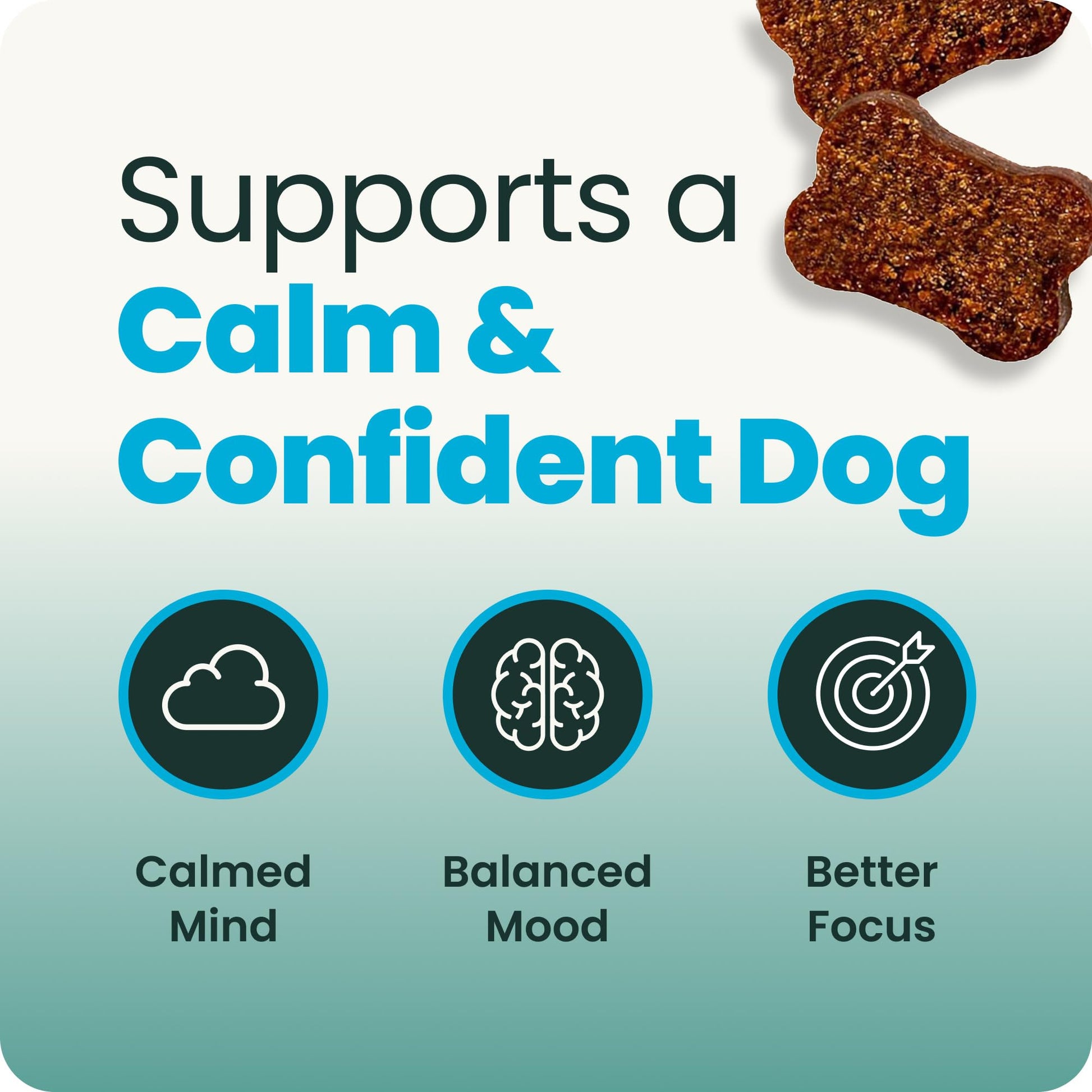VetriScience Calm & Confident Chews. Chosen for real quality, fits naturally into modern pet homes.