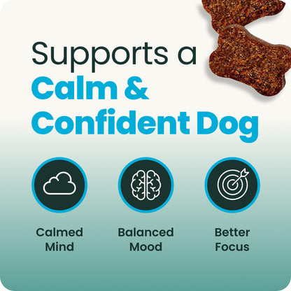 VetriScience Calm & Confident Chews. Chosen for real quality, fits naturally into modern pet homes.