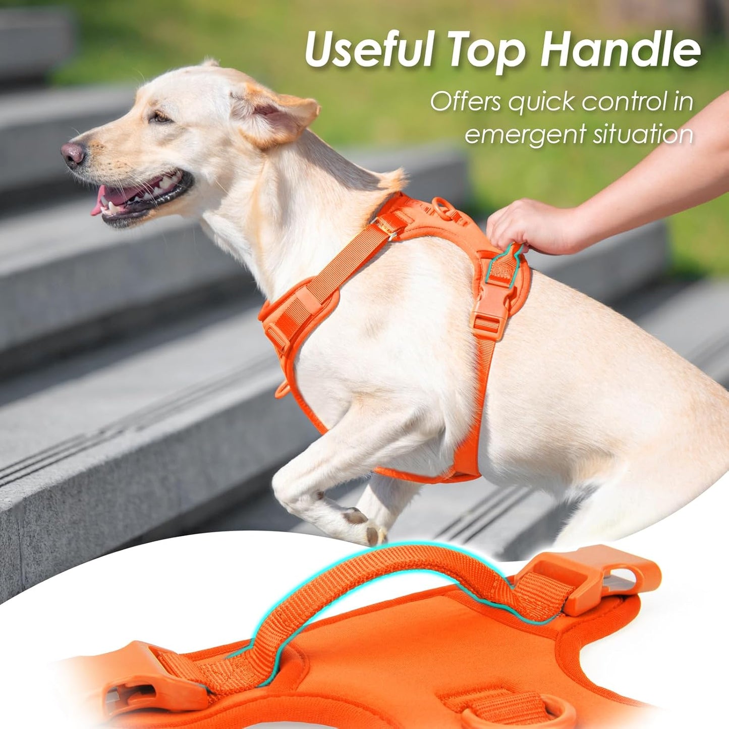 No Pull Dog Harness, Puppy Vest with Front Clip for Small Medium Large Sized Dog(Orange,L)