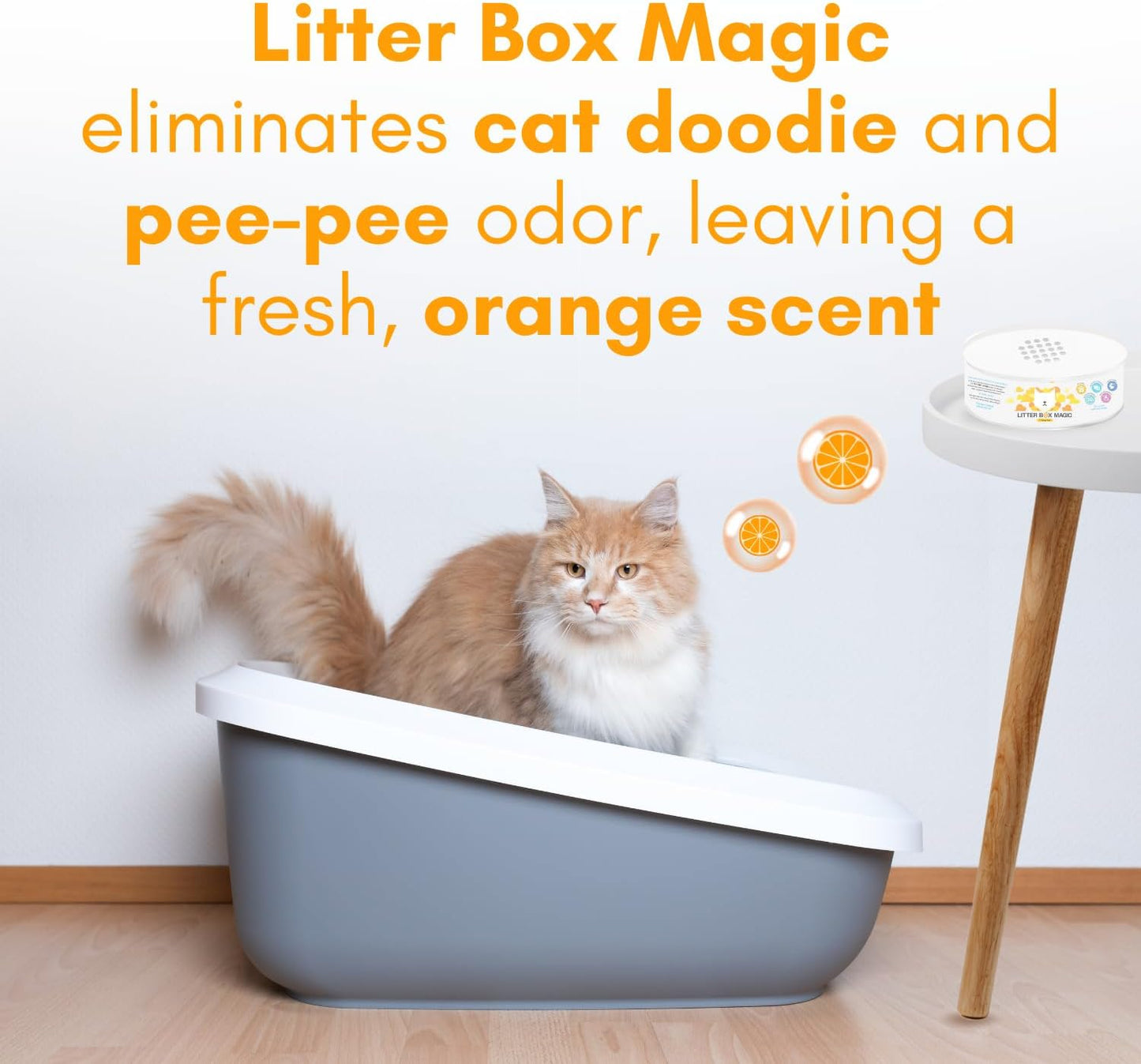 Cat Litter Deodorizer Jar (Orange Scent, 16 Oz, Pack of 2) - Cat Litter Odor Control Gel In A Jar - Cat Litter Box Pet Air Freshener - Litter Odor Eliminator to Freshen Air