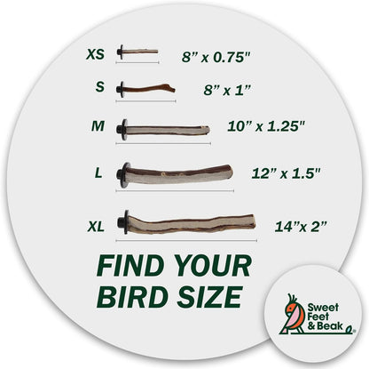 Superoost Manzanita Pumice Pedicure Perch- Easy to Install Bird Cage Accessories for Healthy Feet, Nails and Beak - Natural Bird Perches Imitates Birds' Life in The Wild - XS 8"