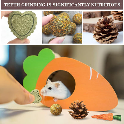 Hamster Toys Set,Guinea Pig Toys Small Animal Chewing Toy and Rat Cage Accessories, 16 Different,Hamster Small Animal Hideout ,Chinchillas, Gerbils, Rats, Rodents Teeth Care,Natural Molar Tools