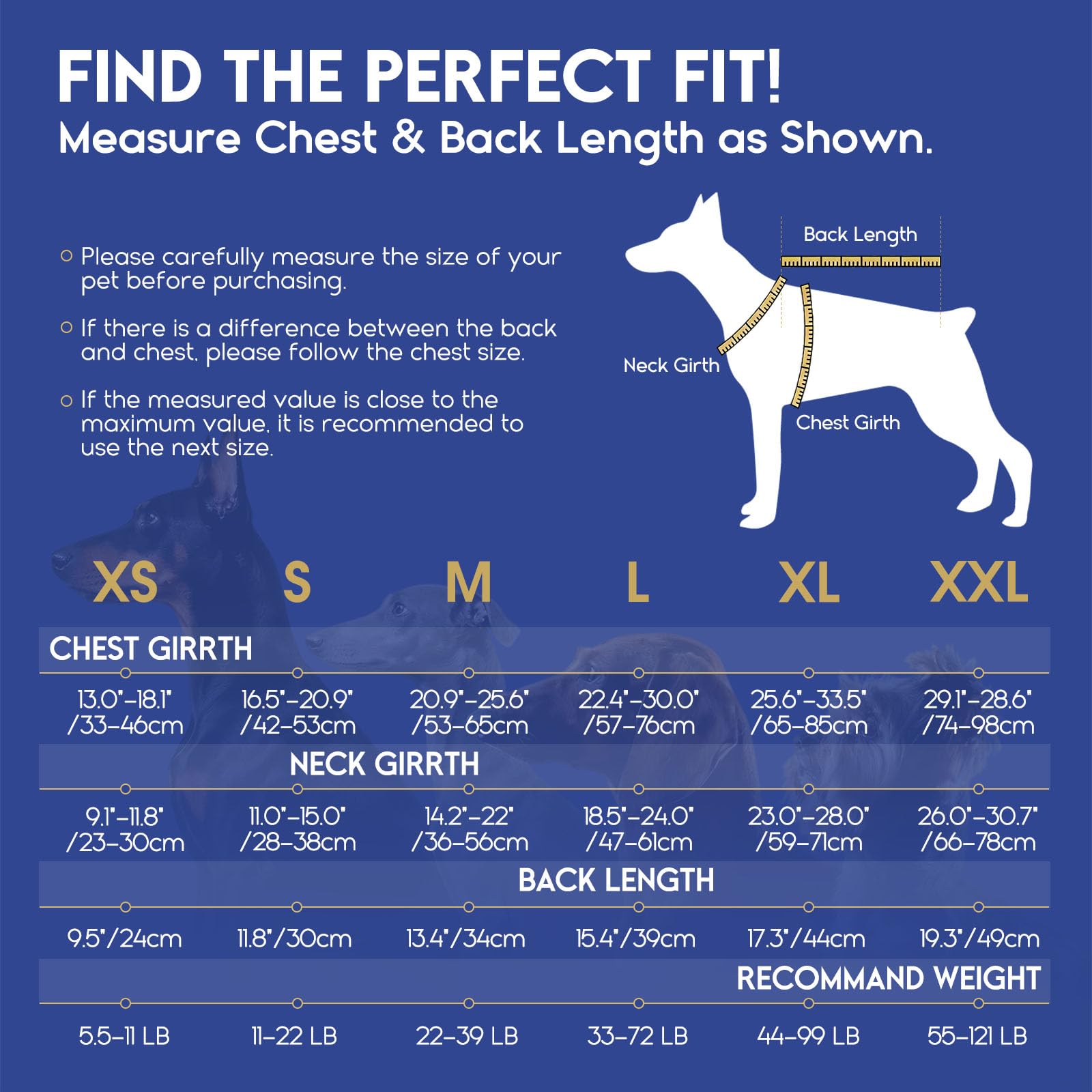 ASENKU Dog Life Jacket. Chosen for real quality, fits naturally into modern pet homes.