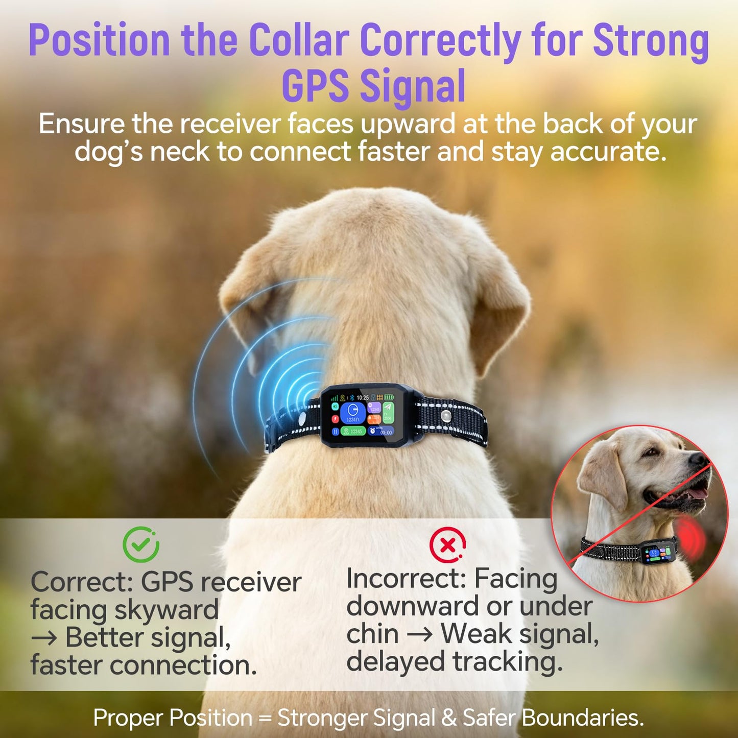 RAINLEOTI GPS Wireless Dog Fence & Remote Training. Chosen for real quality, fits naturally into