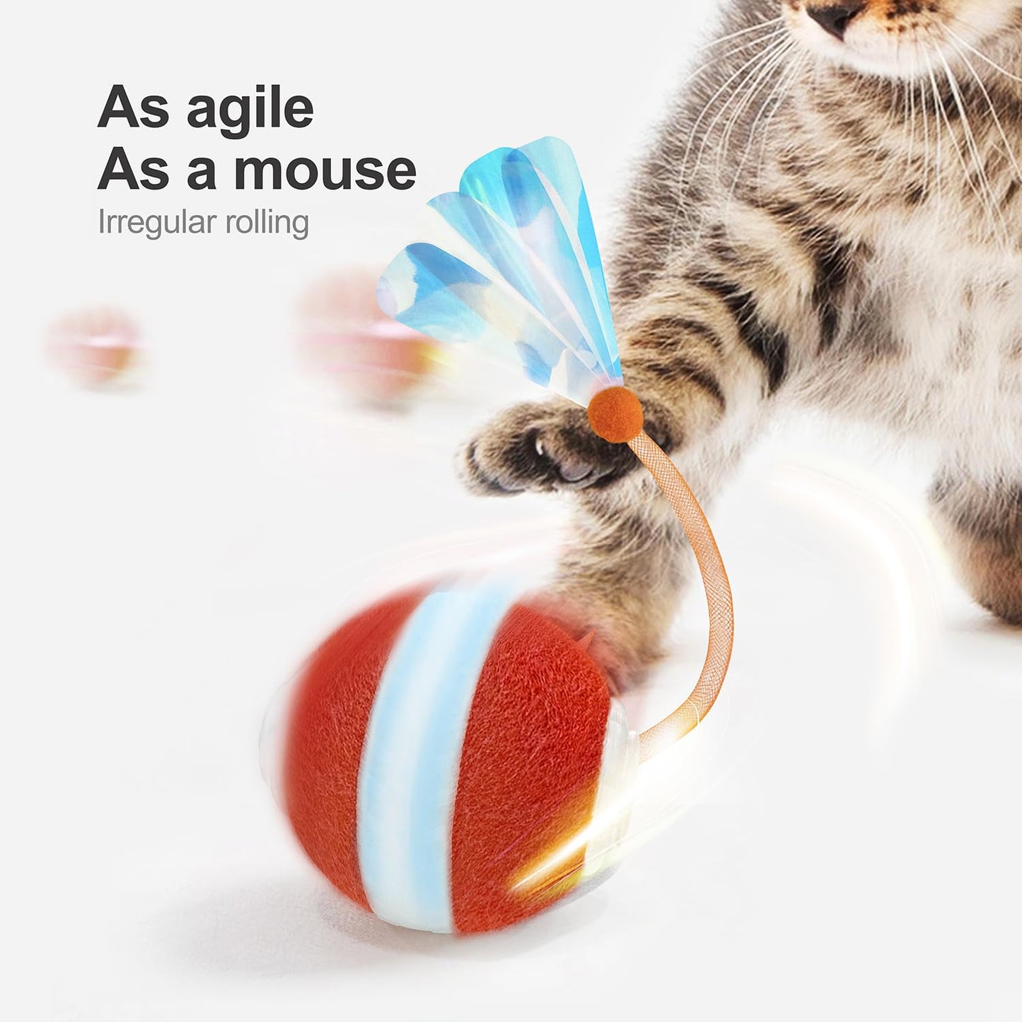 Jkanti Interactive Cat Toys for Indoor Cats. Chosen for real quality, fits naturally into modern