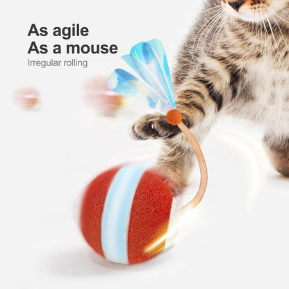 Jkanti Interactive Cat Toys for Indoor Cats. Chosen for real quality, fits naturally into modern