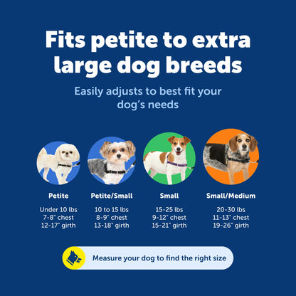 PetSafe Easy Walk Harness. Chosen for real quality, fits naturally into modern pet homes.
