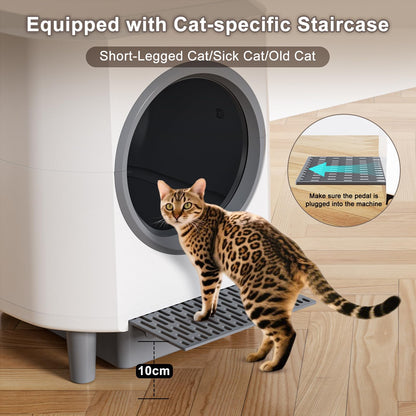Automatic Litter Box. Chosen for real quality, fits naturally into modern pet homes.