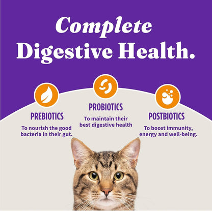 Halo Holistic Cage Free Chicken Cat Food, Healthy Grains Dry Cat Food, Complete Digestive Health, Kibble for Adult Cats, 10 lb Bag