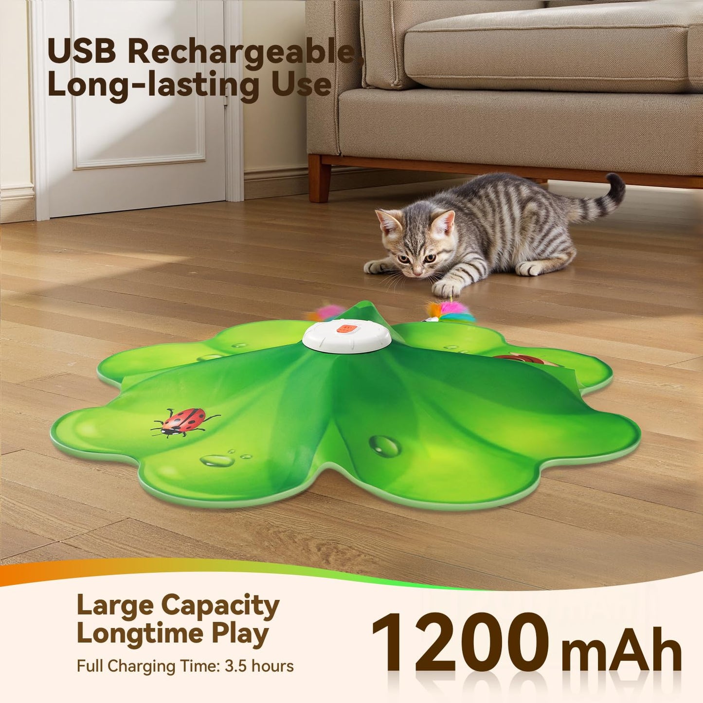 FEELNEEDY Rechargeable Cat Toys. Chosen for real quality, fits naturally into modern pet homes.