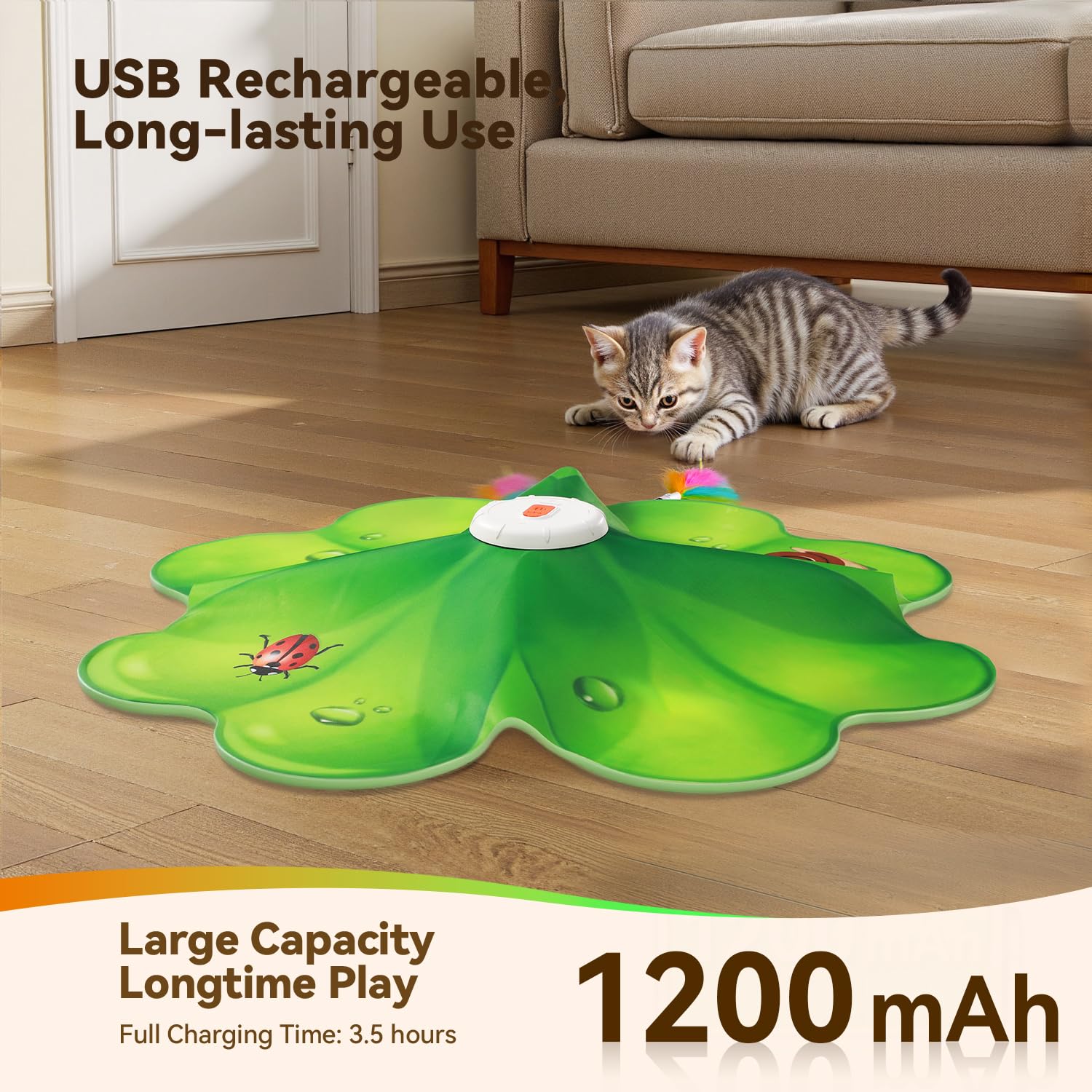 FEELNEEDY Rechargeable Cat Toys. Chosen for real quality, fits naturally into modern pet homes.