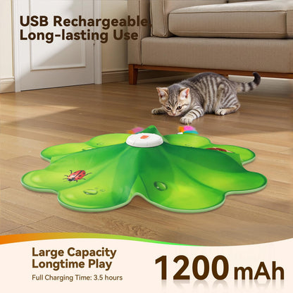 FEELNEEDY Rechargeable Cat Toys. Chosen for real quality, fits naturally into modern pet homes.