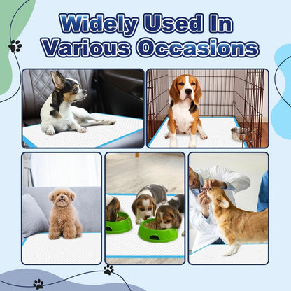 Puppy Pads XL 100 Count. Chosen for real quality, fits naturally into modern pet homes.