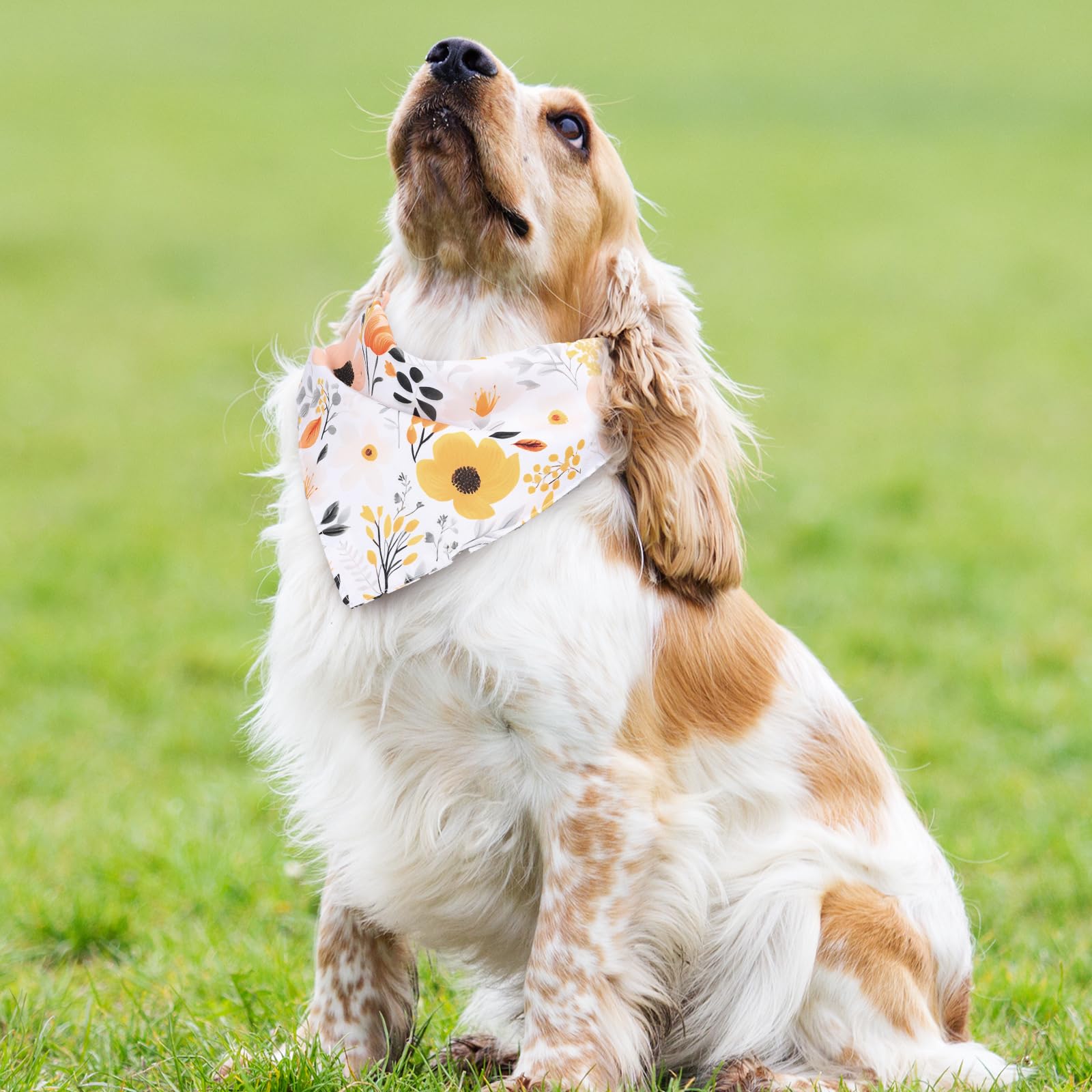 Whaline 4 Pcs Boho Pet Bandanas. Chosen for real quality, fits naturally into modern pet homes.
