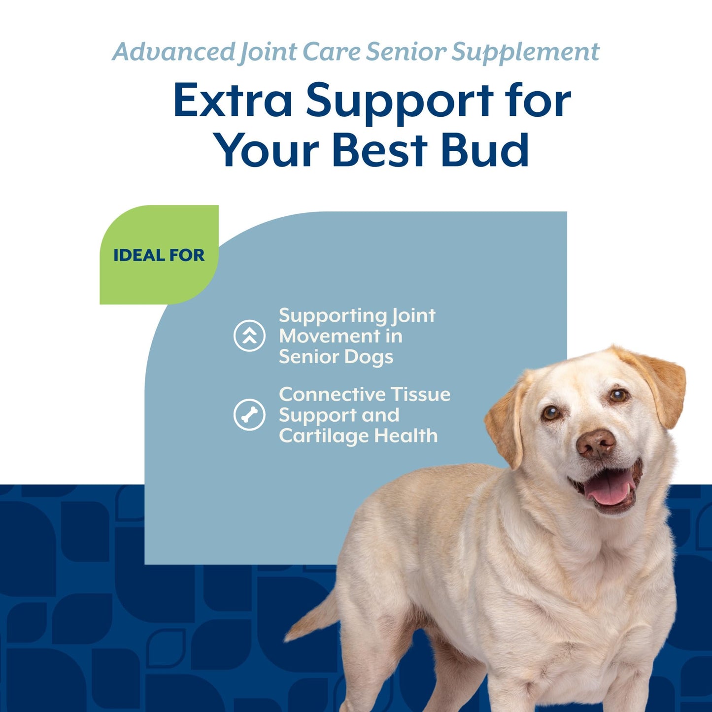 NaturVet Senior Advanced Joint Health Dog Supplement. Chosen for real quality, fits naturally into