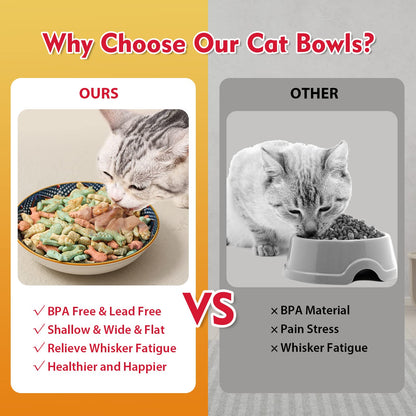Ceramic Cat Bowls Set of 6. Chosen for real quality, fits naturally into modern pet homes.
