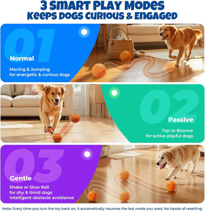 Dog Balls: Interactive Dog Ball Auto Rolling - Interactive Dog Toys for Aggressive Chewers - Bouncy & Throwable, Type-C Rechargeable, Washable, for Small & Medium & Large Dogs – Orange