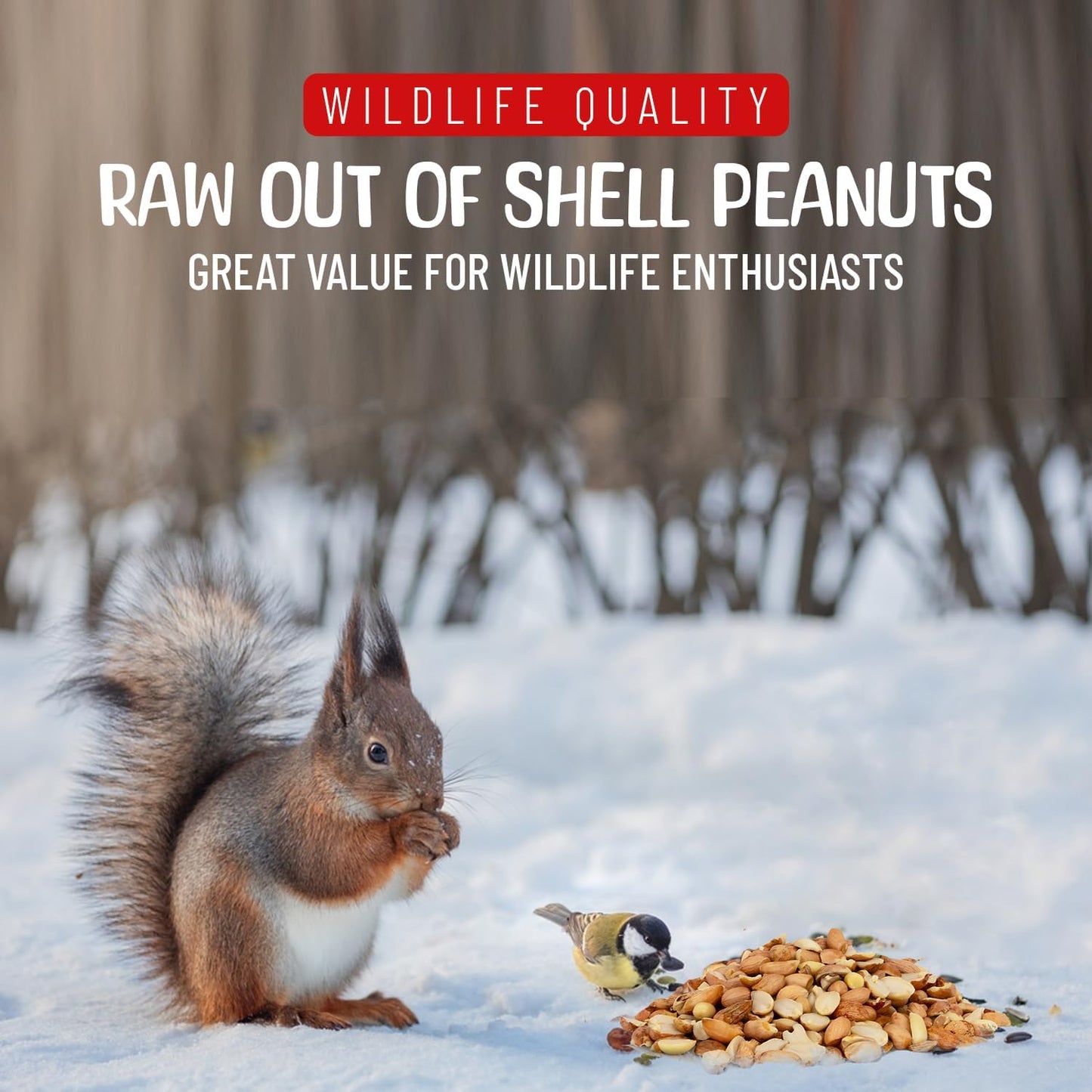 Premium Quality Raw Out of Shell Peanuts - 1 Pound - Shelled Peanuts for Birds – Wildlife Quality - Food for Squirrels, Deer, Birds, and Other Wildlife Animals – Grown in The USA
