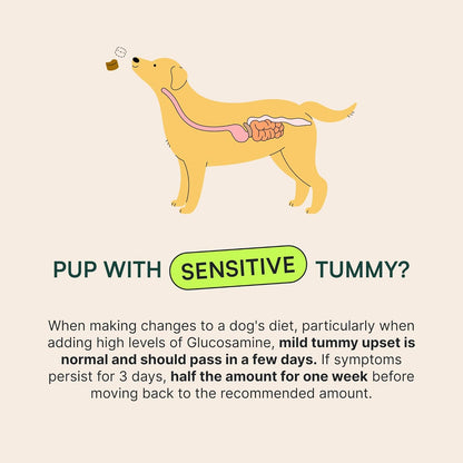 Wuffes Advanced Dog Hip and Joint Supplement with Glucosamine, Chondroitin, Omega 3, MSM, and Green Lipped Mussel, 120 Pork Flavored Chews for Small Dog Breeds