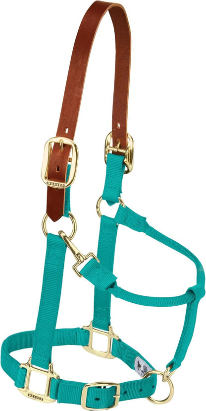 Weaver Equine Breakaway Horse Halter, Supple Leather Crown, Adjustable Chin & Throat Snap Halters for Horses, Equine Tack