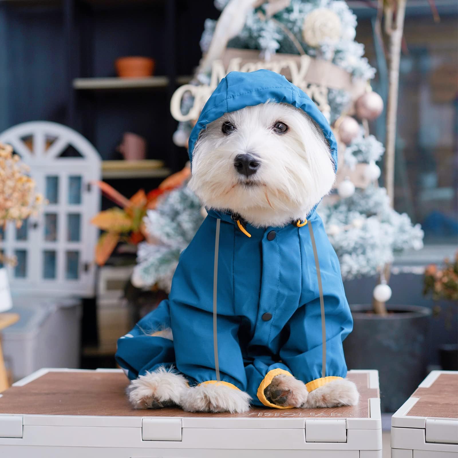 Mabawa Dog Raincoat. Chosen for real quality, fits naturally into modern pet homes.